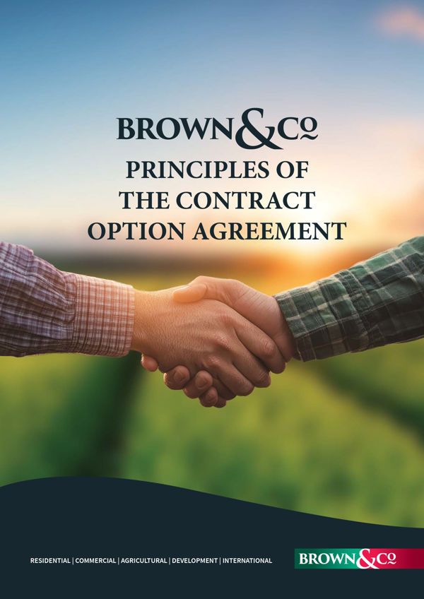 Principles of Contract Options Agreement