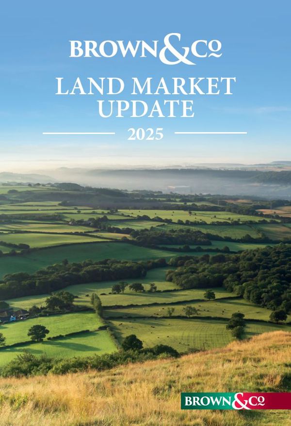 Land Market Update 2025