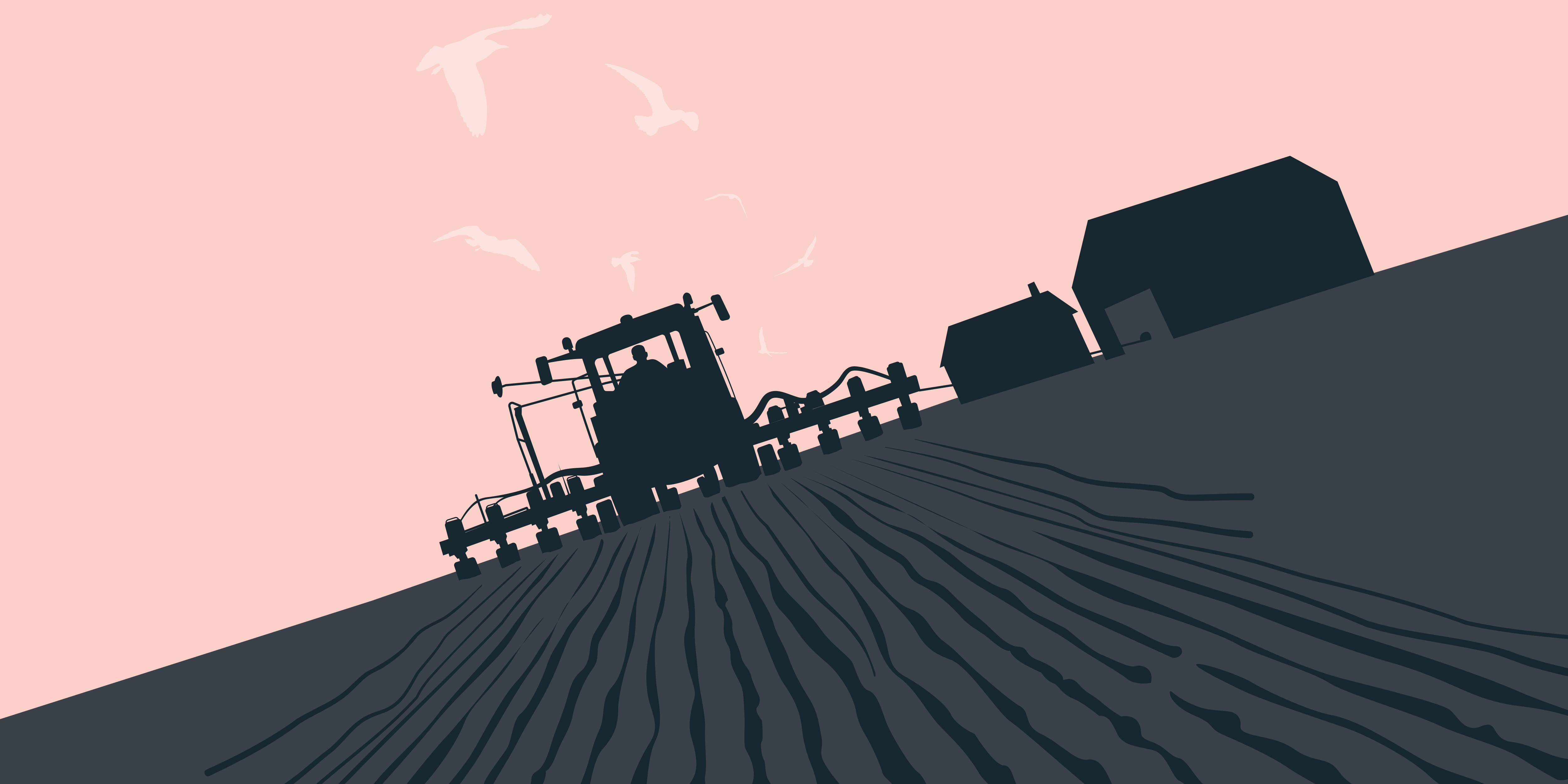 Farmers advised to re-examine IHT implications