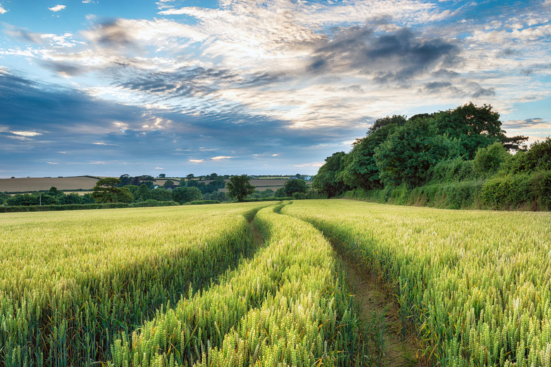 Where next for UK agriculture?