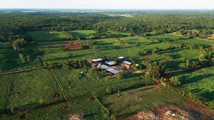 How can tropical dairy farming provide existing farm businesses with a new opportunity?