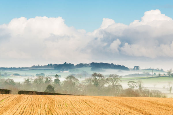 The Government Unveils Reforms to Boost Farmers' Profits and Ensure Food Security