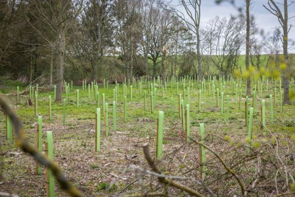 The future of environmental schemes