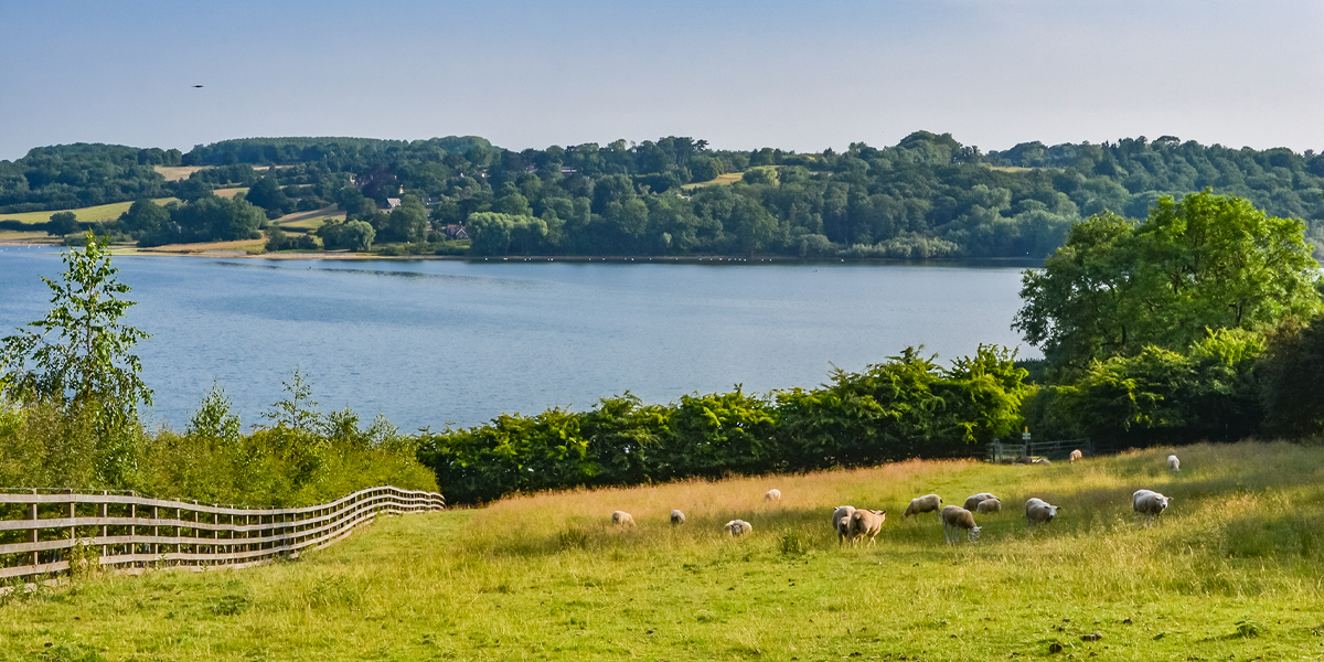Could water security become the next differentiator in farmland value?