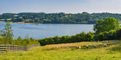 Could water security become the next differentiator in farmland value?