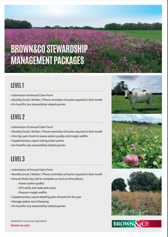 Stewardship Management Packages