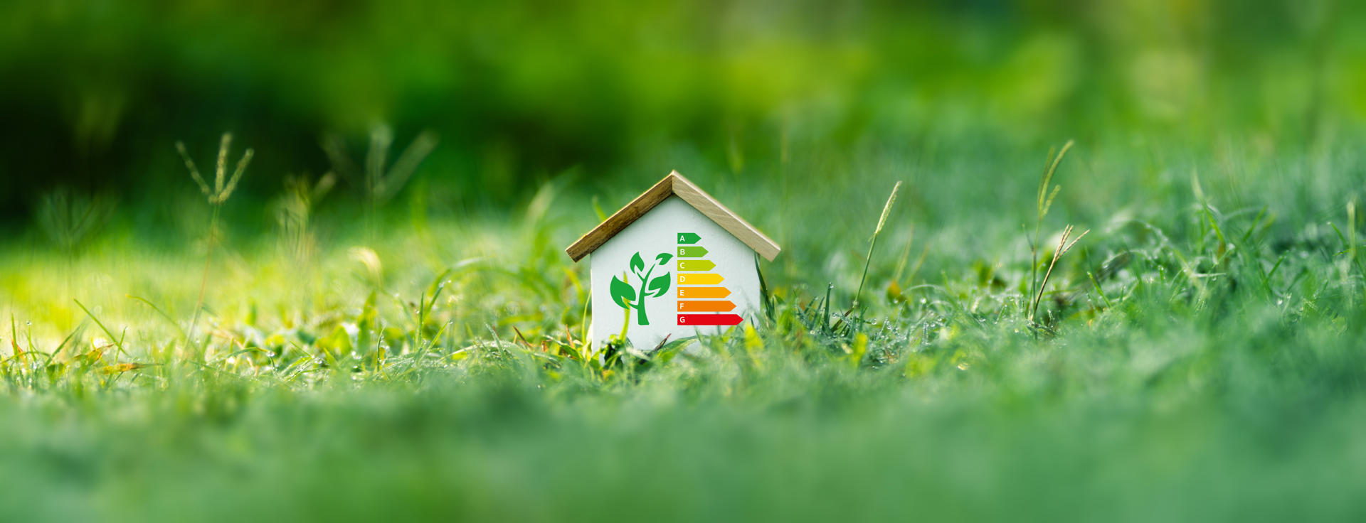 Major EPC Overhaul Coming into Force on 15 June 2025