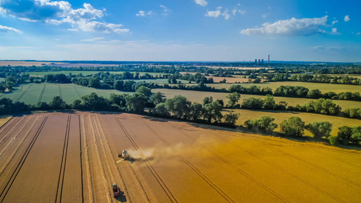 How Brown&Co delivered farmer support at scale to aid sector change