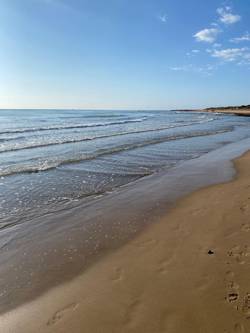 All lots sell at online auction - with one buyer bidding from the beach