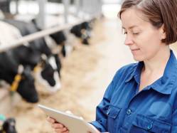 Business appraisal service