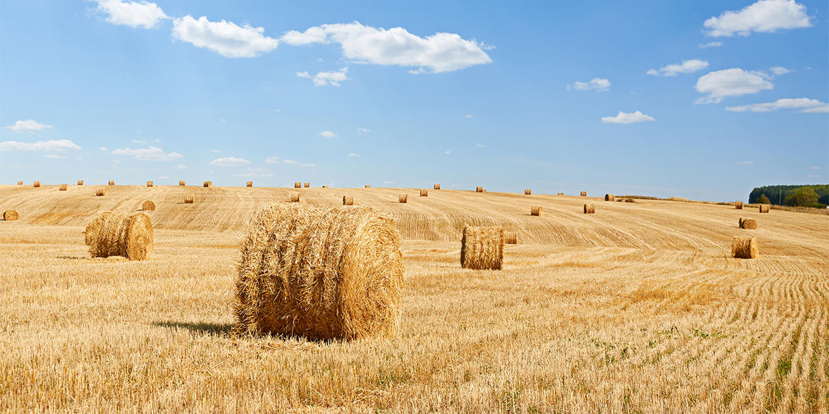 Agricultural Quarterly Update 2023