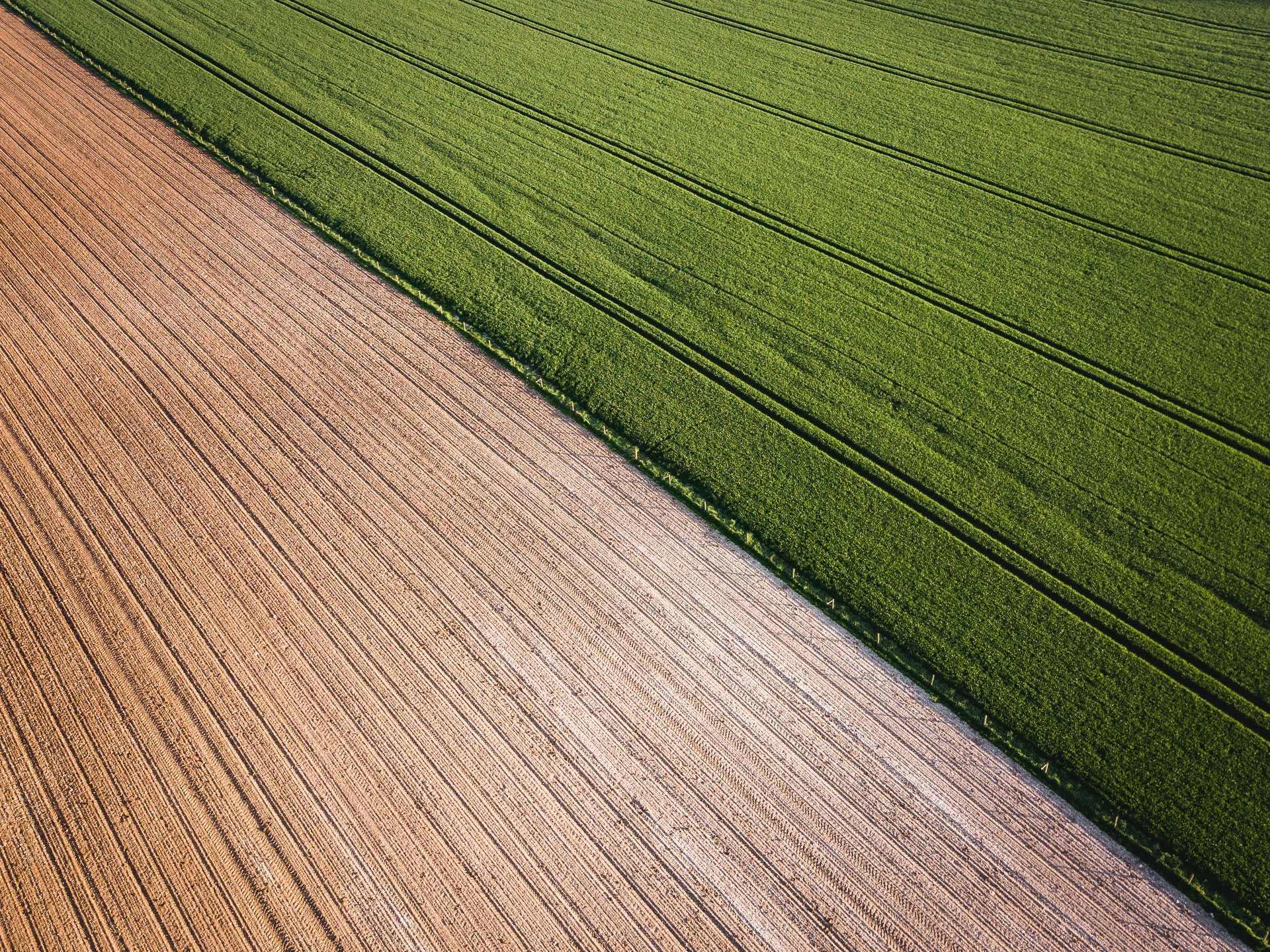 Farmers urged to forward budget as gross margins come under pressure