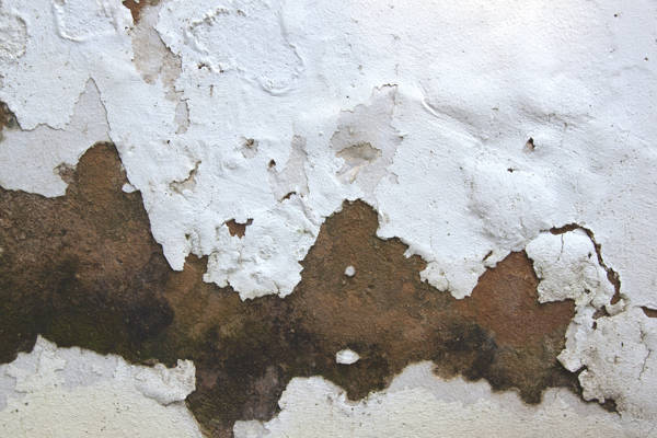 All kinds of problems can be unearthed in a house survey. 