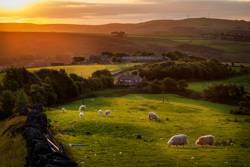 Autumn Rural Update Issue 4: Future-proofing your business - What options are available?