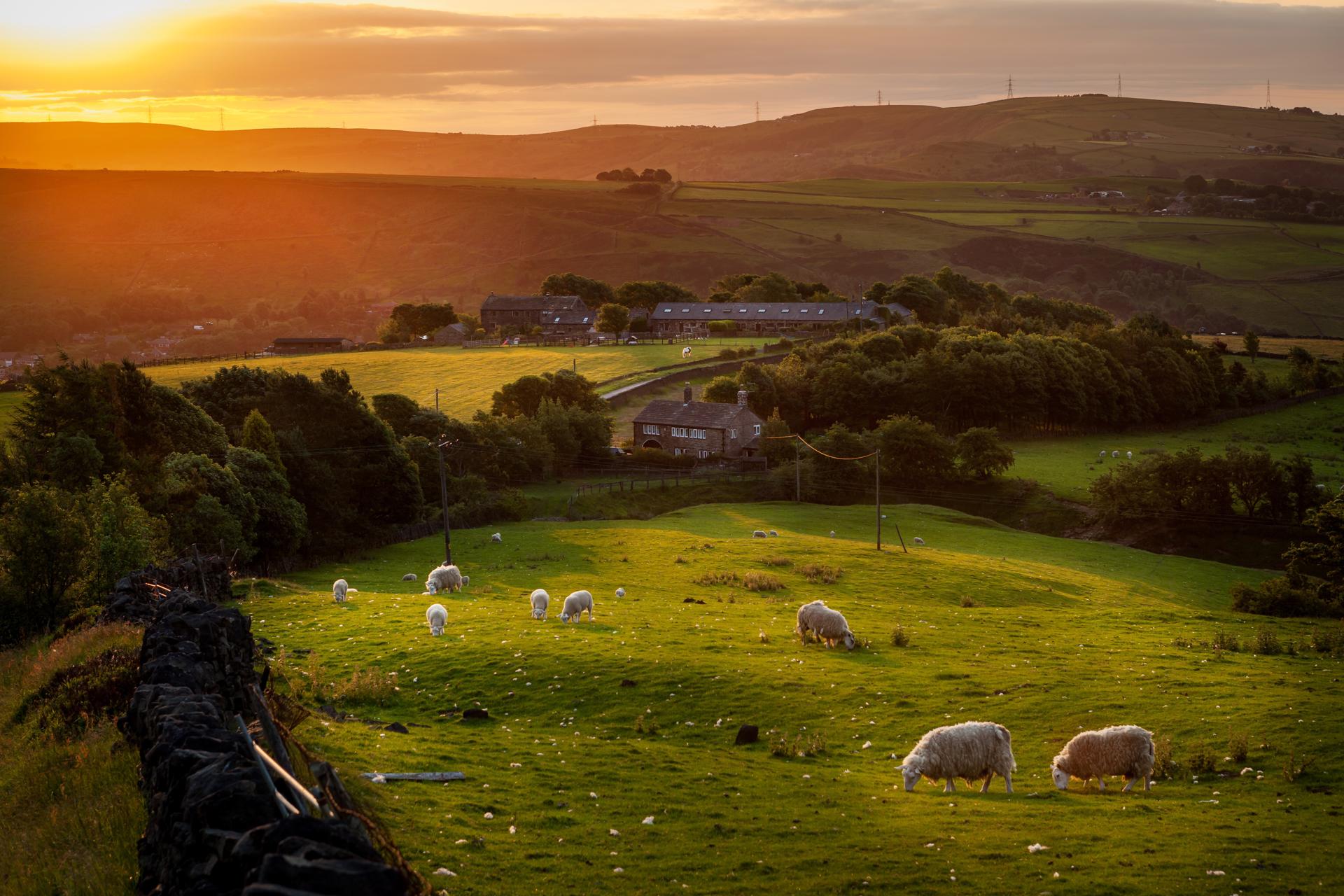 Autumn Rural Update Issue 4: Future-proofing your business - What options are available?