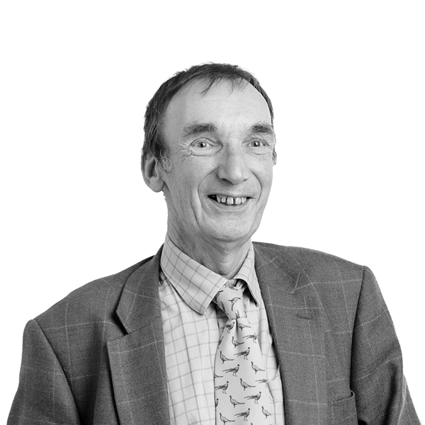 David Thorpe
