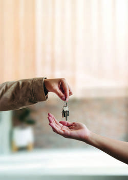 The Renters’ Rights Act