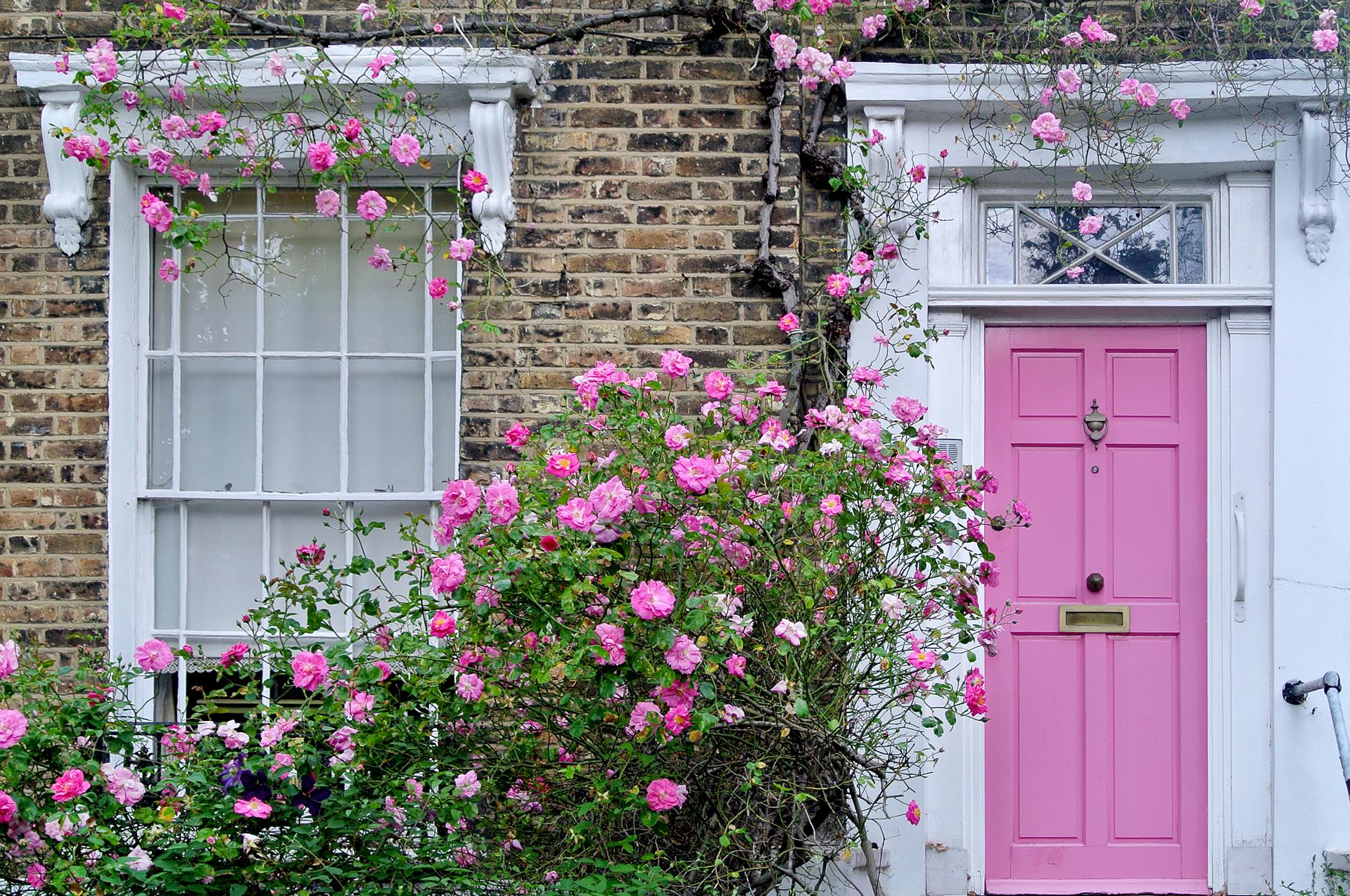 Landlords urged to act now on Government's tenant guide