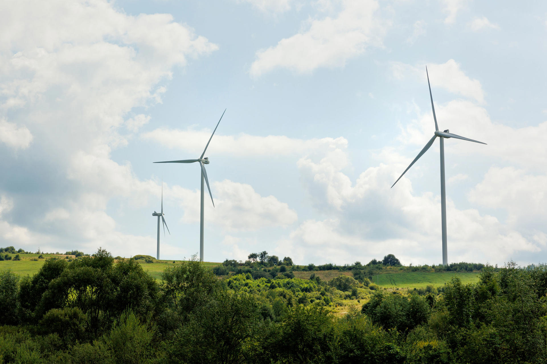 Quarterly Agricultural Update | Q3 2024