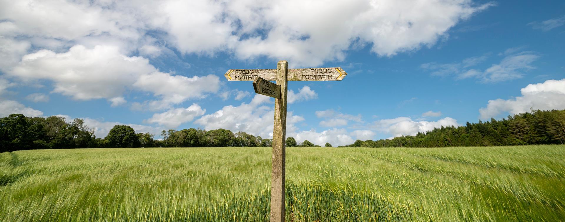 Footpaths, Bridleways, Byways - What do you need to know?