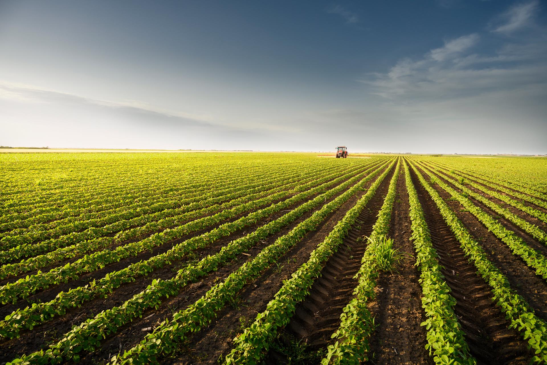 Global demand for farmland in 2024