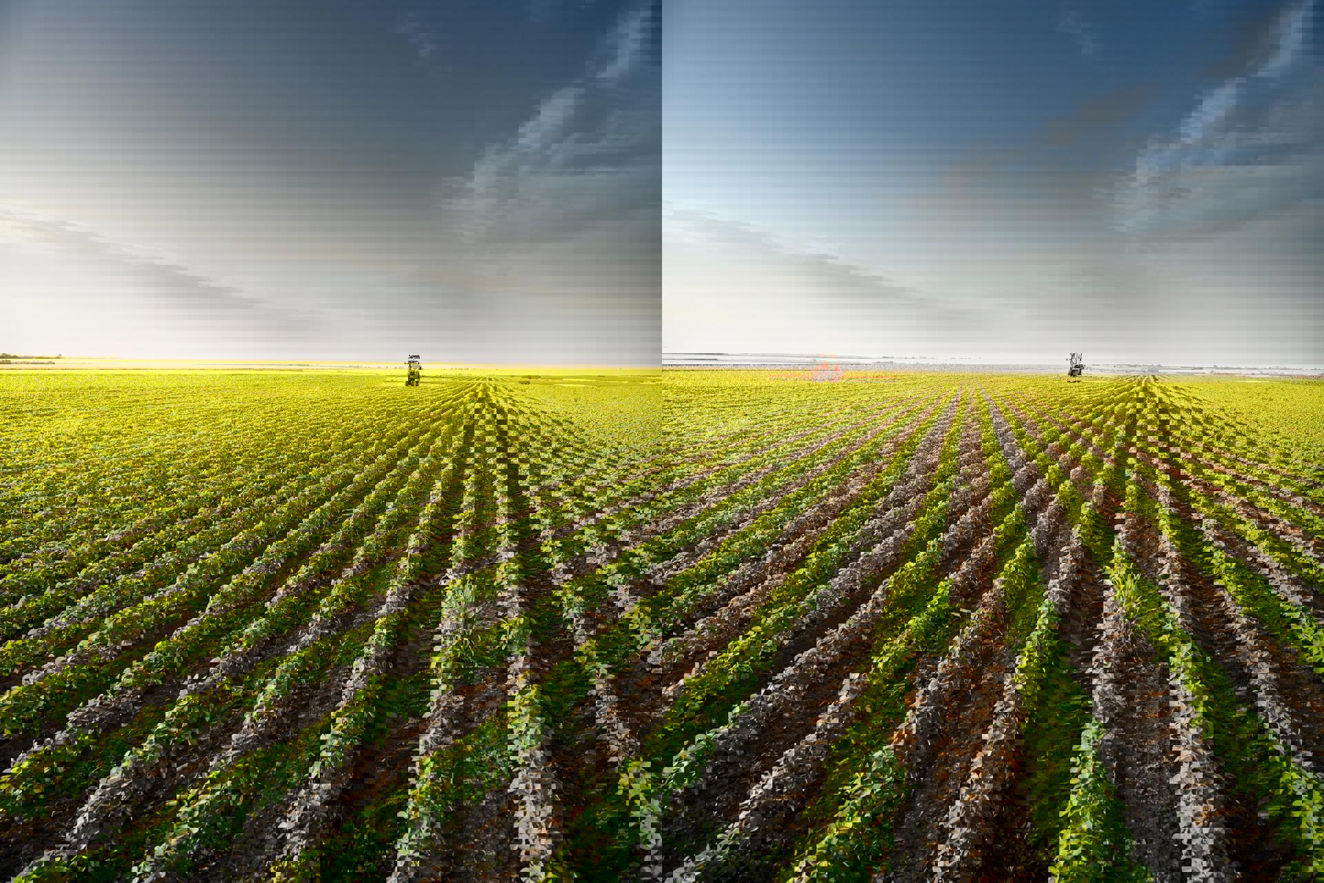 Global demand for farmland in 2024