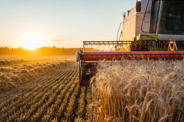 Care needed for farmers' 2025 cash flow