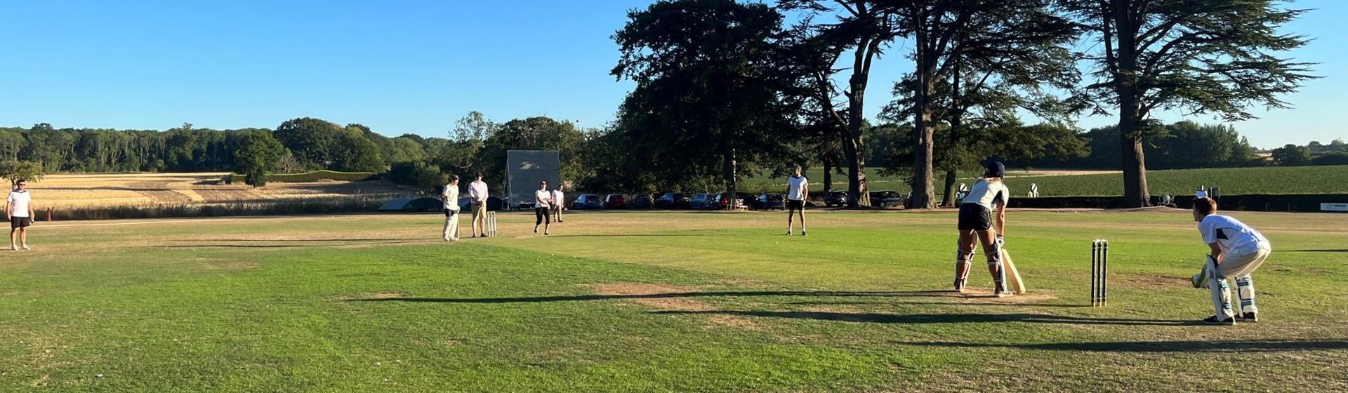Brown&Co take on Leathes Prior at cricket
