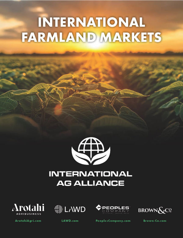 International Farmland Markets