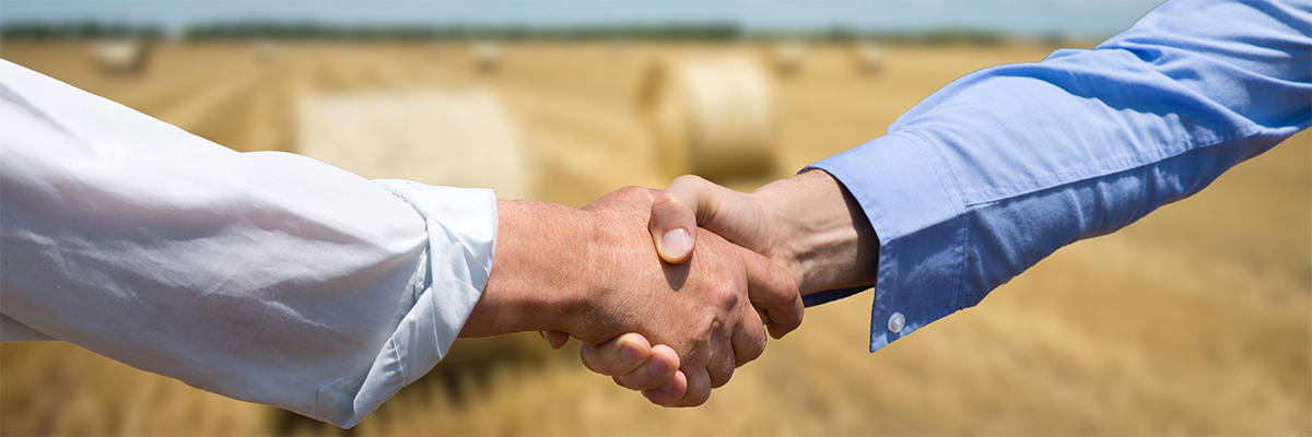 Periodically reviewing joint ventures advised as agricultural policies change