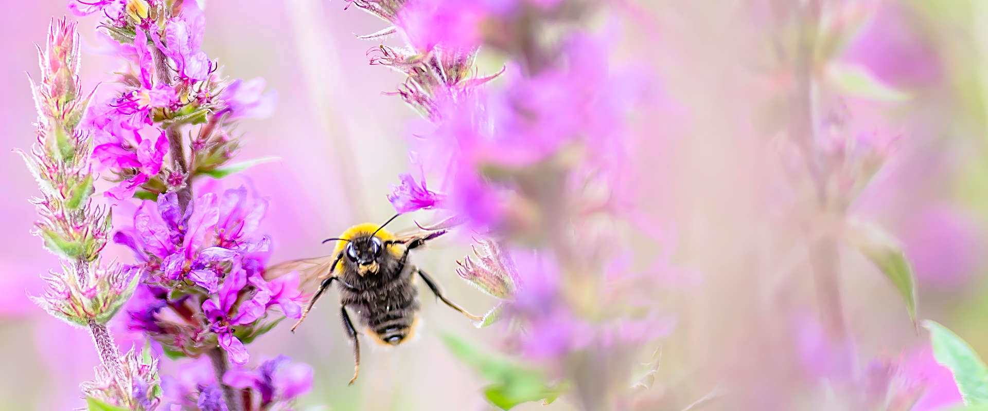 Environmental Stewardship Brown&Co