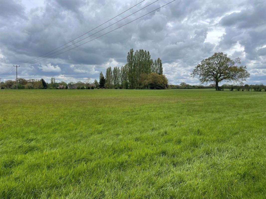 Demand for small plots of land see two go under hammer for up to £166,000 over guide price