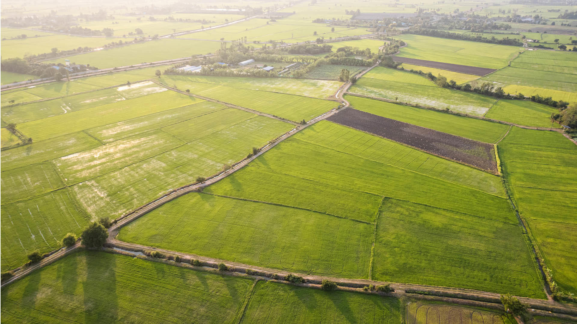 What's really driving farmland sales in 2026 – and what role is tax playing?