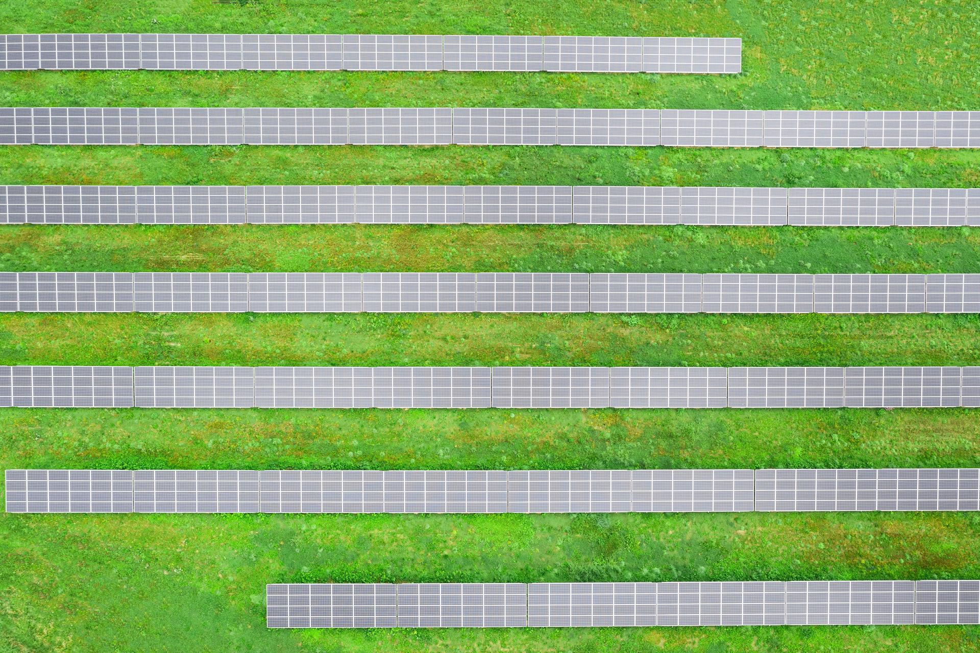 Renewable Energy schemes: what are the implications for landowners?