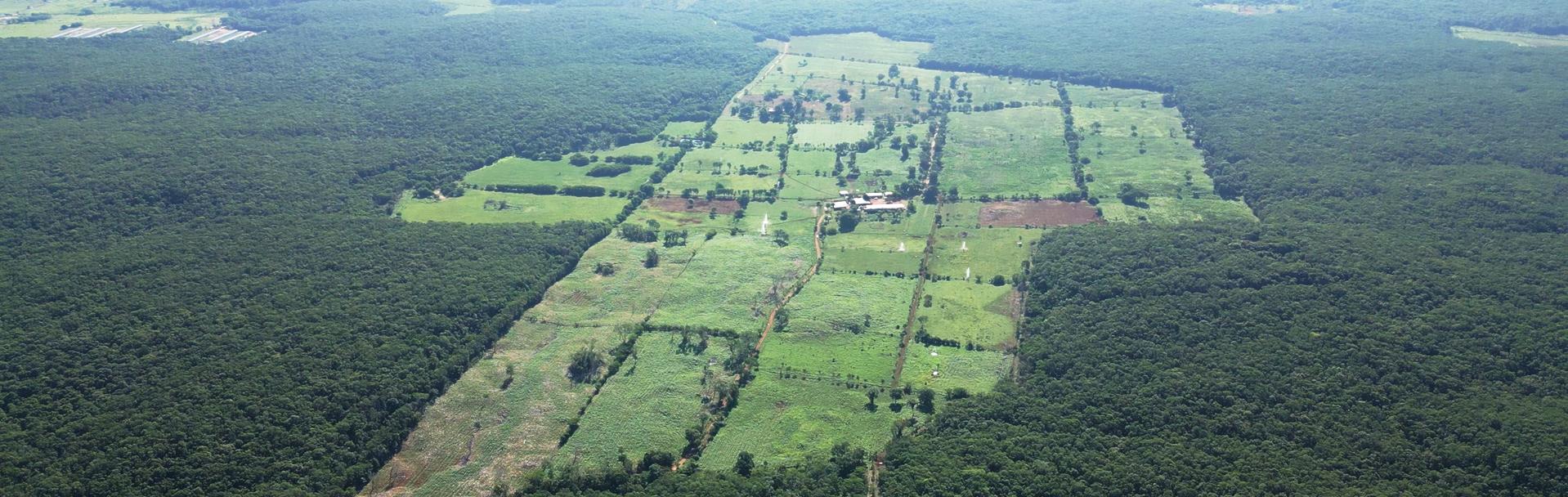 How can tropical dairy farming provide existing farm businesses with a new opportunity?