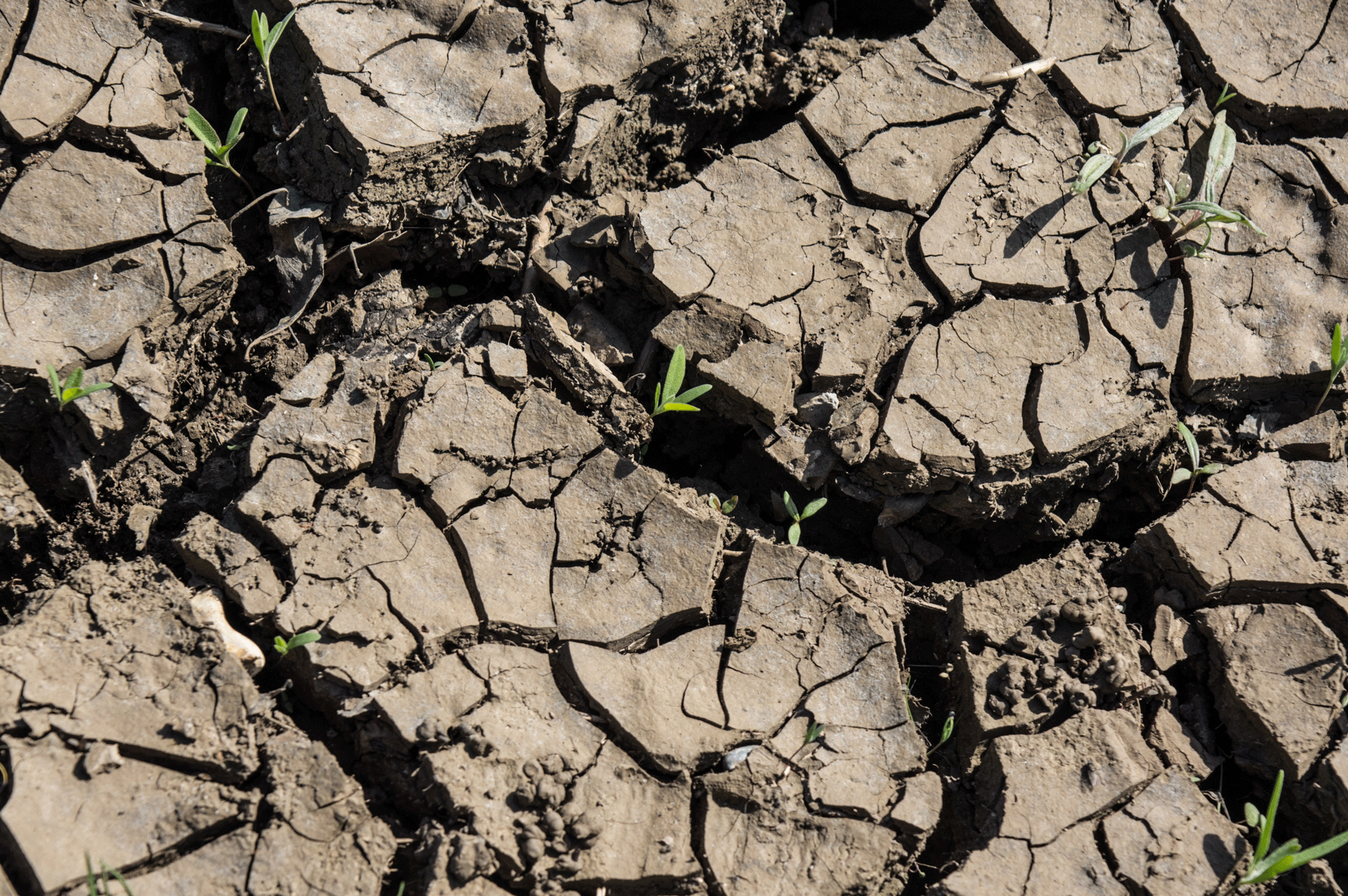 Securing Water Solutions in an Era of Climate Extremes