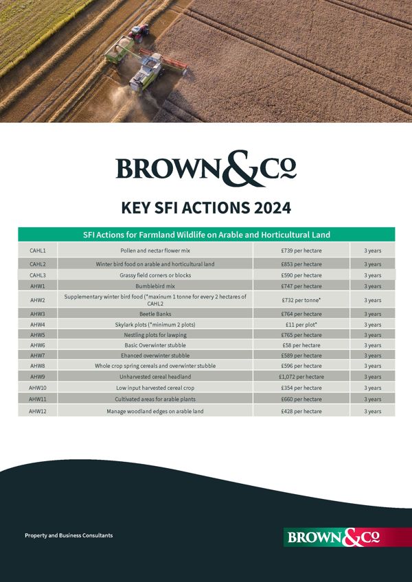 Brown&Co Key SFI Actions 2024