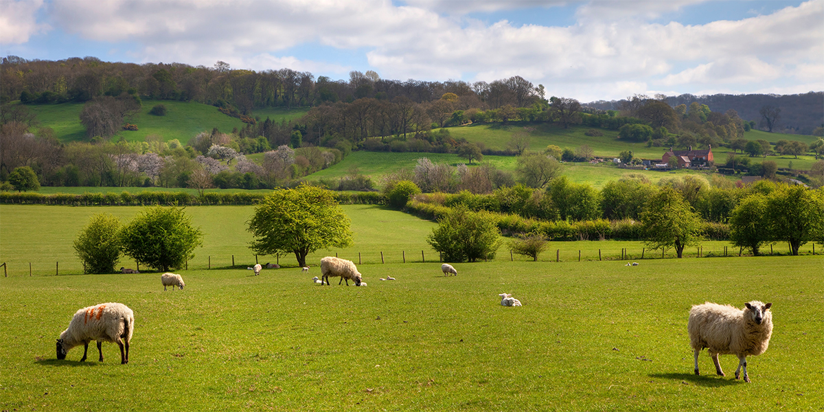 Quarterly Agricultural Update | January 2026 - March 2026