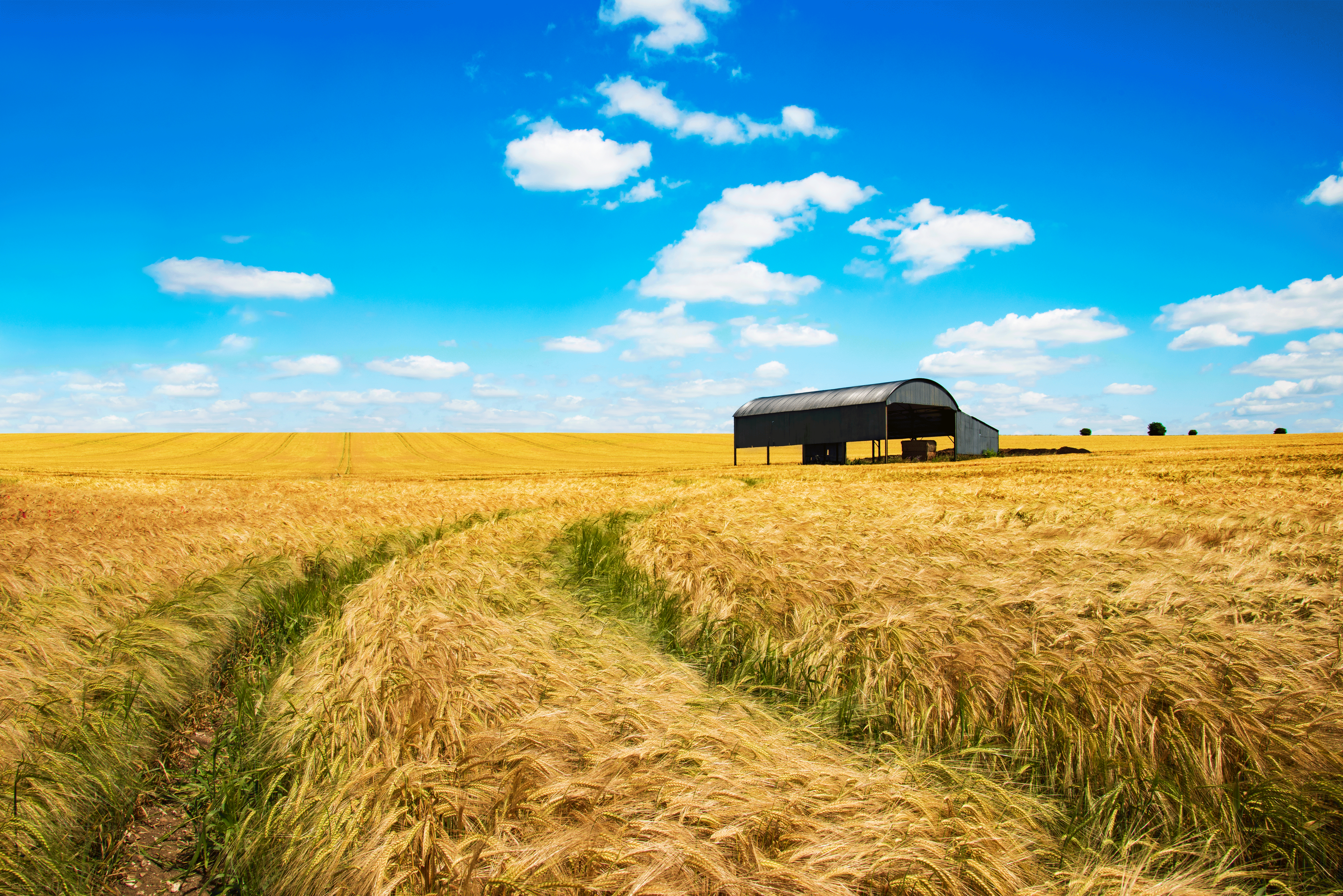 Navigating the 2050 Roadmap - What It Really Means for Your Farm
