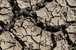 Securing Water Solutions in an Era of Climate Extremes