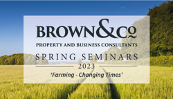 Spring Seminars return for 2023
