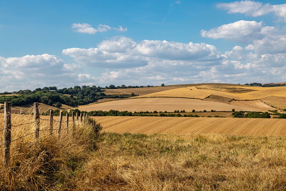 Uk farms agflation