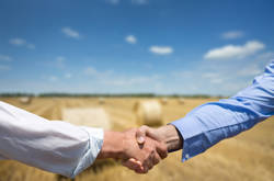 Periodically reviewing joint ventures advised as agricultural policies change