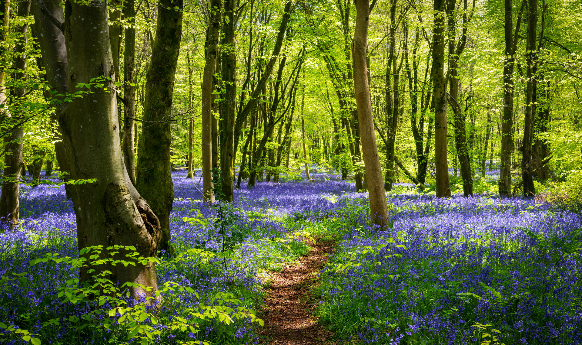 FFRF Greenhouse Gas Footprinting, Natural Capital & Carbon Webinar