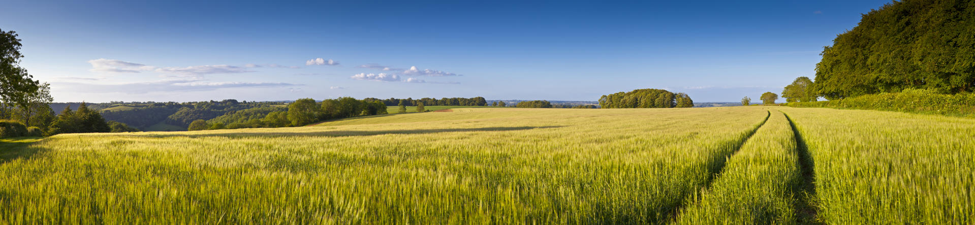 Defra closes the Sustainable Farming Incentive scheme to new applications