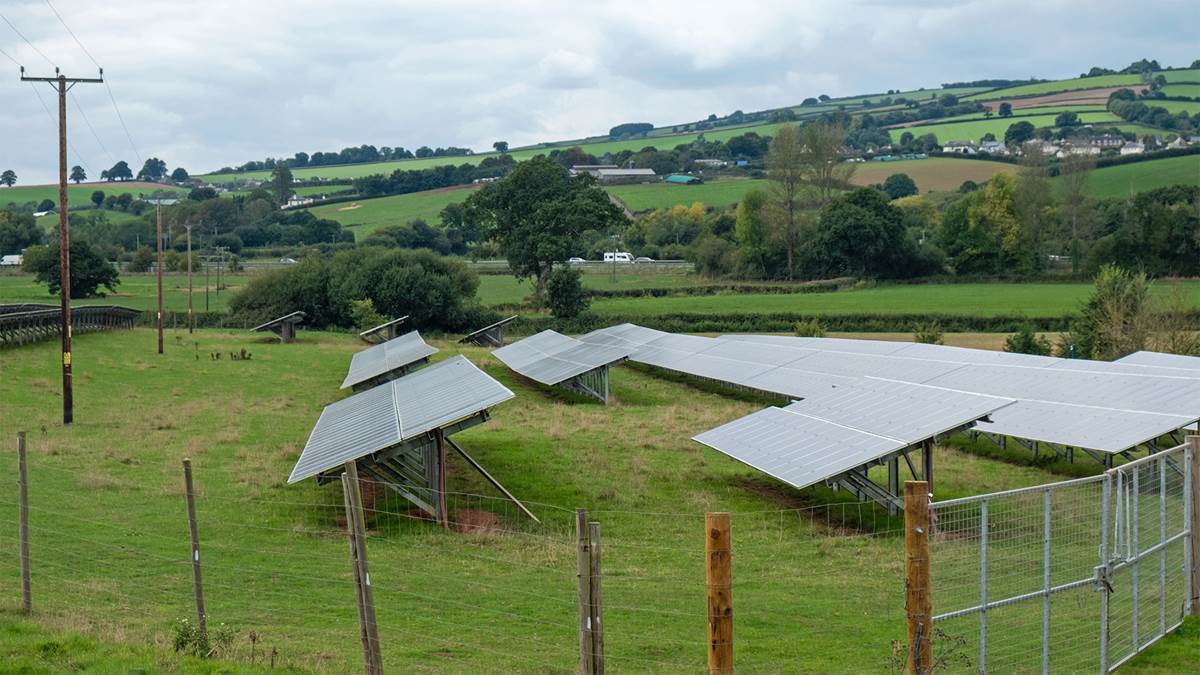 An Array of solar panels installed on a small farm