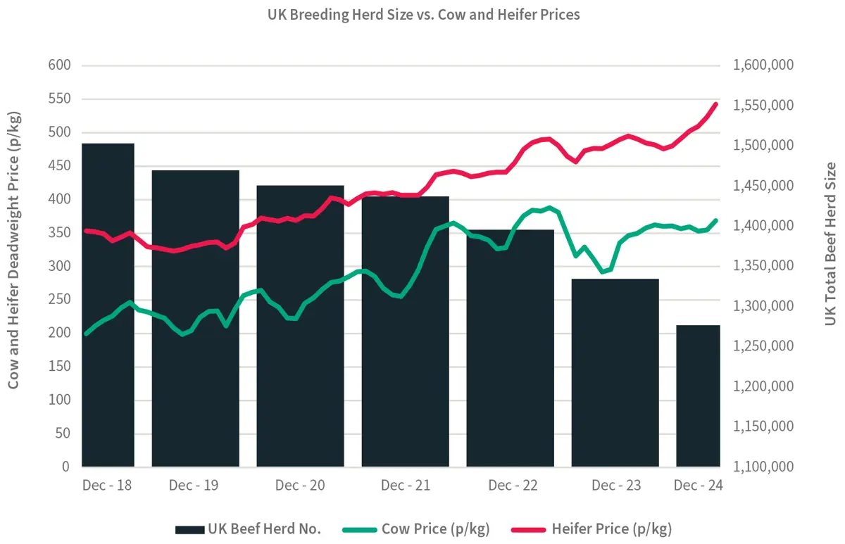 UK Breeding Herd Size vs. Cow and Heifer Prices