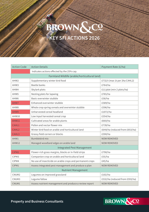 Download the SFI Options 2026