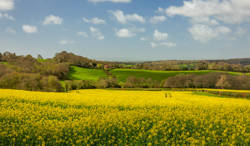 Quarterly Agricultural Update | January - March 2025