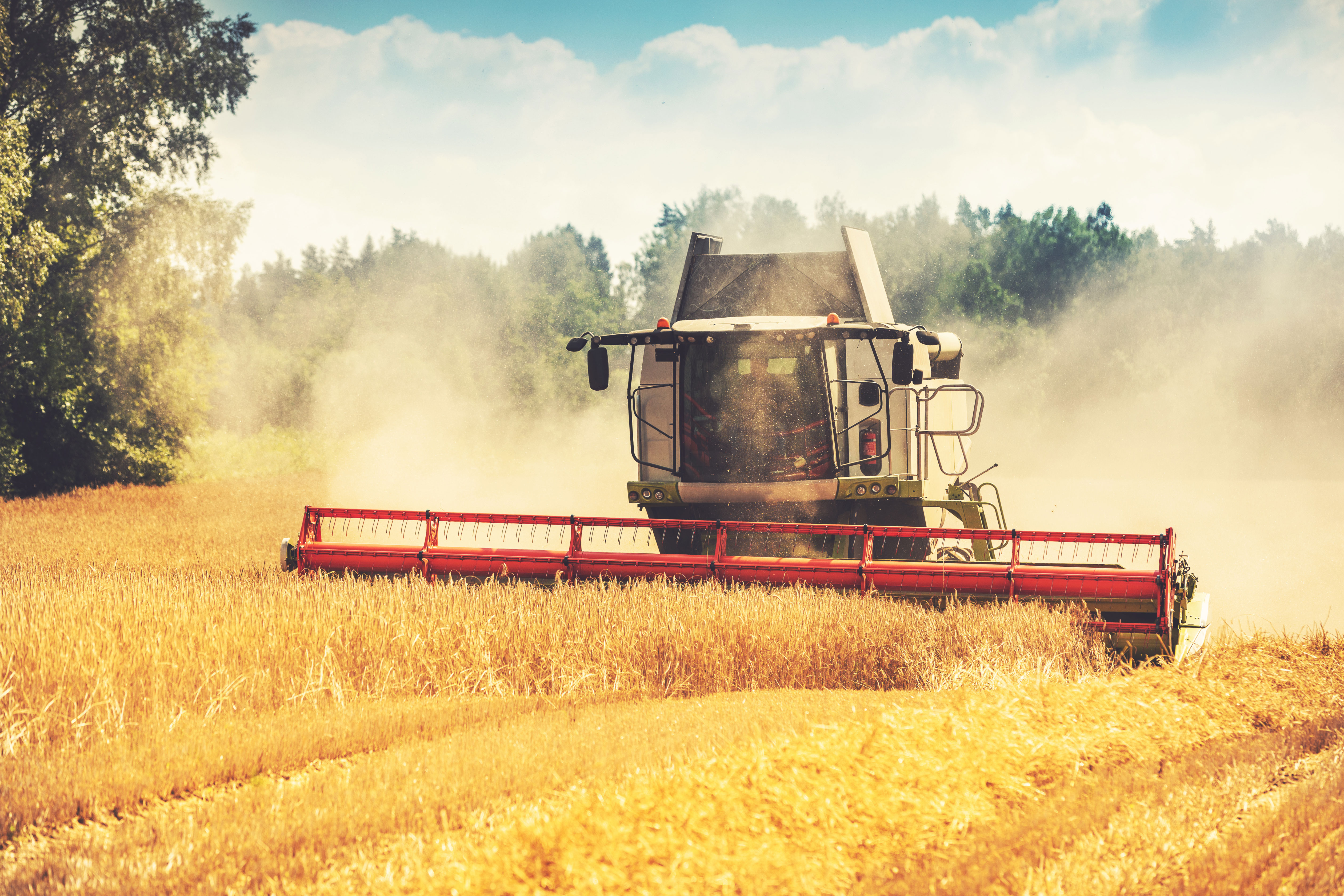 Analyse machinery and labour costs to capture potential savings